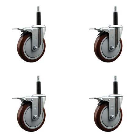 Service Caster 5'' SS Maroon Poly Swivel 3/4'' Expanding Stem Caster Set Total Lock Brake, 4PK SCC-SSEXTTL20S514-PPUB-MRN-34-4